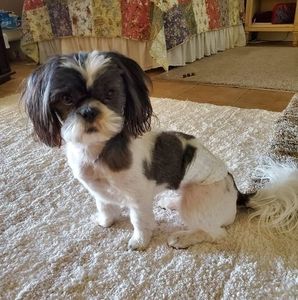 Meet your Posher, Tammy